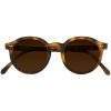 brown-polarized